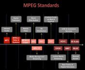 mpegstandards.png from knsty mpegs