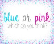 blue or pink.jpg from pink or blue mp4