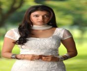 kajal agarwal stills in brindavanam movie 40911.jpg from bollywood actress kajal agorwal 3gp xxx porn