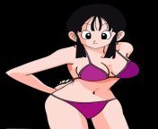 chi chi dragon ball bikini render by lytor d7pij9k.png from best sexy of chi