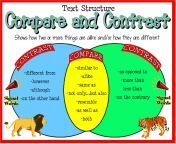 compare and contrast text structure jpeg from how does it compare to other mmo methods like marquiz io
