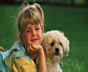 people children girl with a white dog 043981 .jpg from doogs and gir
