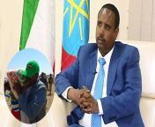 abdi mohamed omar 2018.jpg from abdi mahamed umer somali jijiga killed oromocom maduri dixit xxxx sex comonakhshi sina xxxx com