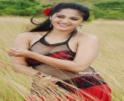 anushka2.jpg from tamil actress kaja anueshka