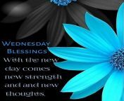 351621 with the new day comes new strength and new thoughts.jpg from and new