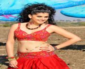 actress taapsee pannu hot and sexy best pictures 29.jpg from actress tapsi pann