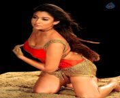 nayanthara hot stills 1510130859 009.jpg from tamil movie nanbanda nayantara sexy hip video song