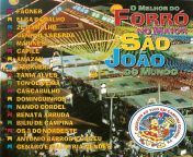 coletacnea 2000 o melhor do forra no maior sao joao do mundo capa.jpg from forro cd