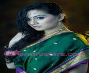 shruti marathe marathi actress in saree.jpg from indian marati momsex all film actors mousumi sex porn vid