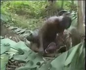 76422216e112c4b9926491e373b53a8f 5.jpg from himachal xxx sex in jungle pg video download local