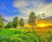golden sunset on the green field.jpg from 3565abbd6af90b6c6f0c7e854c345269 jpg