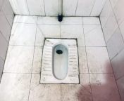 a guide to asian toilets 2 1024x768.jpg from asian toilet