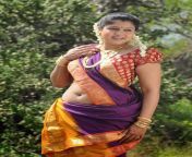 actressalbum com south indian actress hot saree navel photos 4.jpg from tamil saree sexy hip touched videos