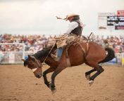 red lodge rodeo.jpg from rodeo