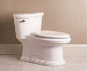 danze dc011323 1.jpg from toilet pesin com