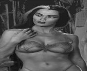 5fpiksw.jpg from lily munster nude