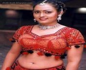 6ca5e51534bdeab9e46211aaac9fb6c3.jpg from tamil actress vindhya hot
