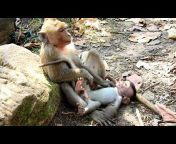 hqdefault.jpg from nepali bhabinimal monekey and xxx videos