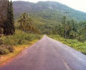 a village road in kerala kerala 20075172 500 376.jpg from kerala village sex newxx বাং