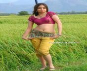 sheena hot bindaas navel1.jpg from tamil actress sheena xxx