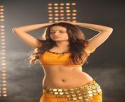 sneha ullal latest hot navel stills no watermark 28229.jpg from tamil actress sneha ullal sexy photo