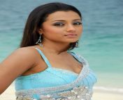 trisha krishnan wallpapers 04.jpg from www indian actress trisha krishnan sex xxxx bf video camel boo film