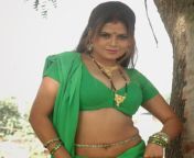 sapna hot pictures download free 4 sexy sapna in green saree.jpg from hot sapna