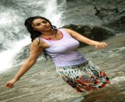 unseentamilactress photos vidya mayai .jpg from tamil actress wet boob