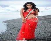 actress amala paul spicy navel show stills red saree 2.jpg from tamil actress amla pual sexexy