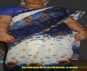 saree south indian aunty 375x1024.jpg from aunty pulled up sa