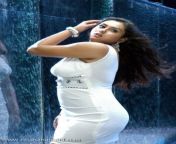 namitha in white transparent dress namitha wet stills namitha boobs visible namitha sexy 04.jpg from namitha xnxxা
