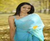 trisha krishnan hot cute spicy images stills photoshoot pictures wallpapers gallery saree navel cleavage boobs exposing desi actress heroin telugu tamil 10.jpg from tamil actress trisha hot saree slip oops moment com mobile xxx fackeshi favorit list