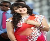 hansika glam photos in saree3.jpg from tamil actress hansika hot saree dip sexy first night scenes video