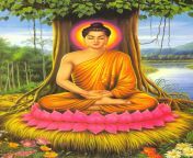 buddha111.jpg from nepali new kanda buda budi