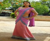 charmi kaur saree side poses hot 3.jpg from acter charmy kaur sexy saree video