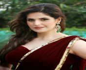 zarine khan glamorous in saree 009.jpg from sexy indian actress zarine khan nangi images naked pics gallery here her naked milky boobs and shaved pussy photos