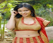 tamil actress kareenasha hot photos hottamilactresseshub blogspot om 3.jpg from tamil actress kari