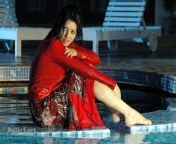 tamil actress from engal kadhal barefoot 2.jpg from tamil actress feet kisswetha basu prasad sex videogujrati nxnn sexww suneleone com