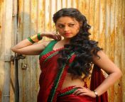actress pooja umashankar hot saree photos in vidiya moon telugu movie celebsnext 1.jpg from pooja umashanker x