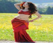 glr8tvv.jpg from tamanna bhatia show bra pad