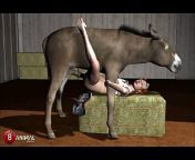 249 15917.jpg from porn with donkeys