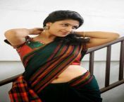 saree navel3.jpg from redwap malayalam actress saree remove videos 3gp aunty boob press milk out video xxx