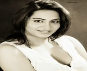 arshi khan stills photos pictures 01.jpg from arshi khan nud