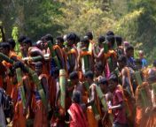 attpadi mahasivarathri tribal festivl.jpg from kerala attappadi sex vidios