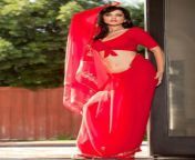 sunny leone red hot saree in jism 2 16.jpg from sunny leone red bridal saree without blouse