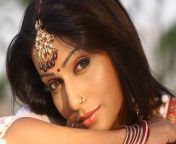 pakhi hegde bhojpuri actress hd wallpaper 282229.jpg from bhojpuri pakhi hegde actres xxx boobs nangi chut photexy desi aunty ki choot se piss