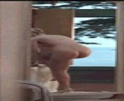 tumblr inline pbp9jnb3kp1us5xwt 100 gifv from view full screen sharon stone 50