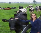 judith de vor in field w cows.jpg from Ú¯Ú¾Ø±ÛŒÙ„Ùˆ Ù¾Ø´ØªÙˆ Ø³ÛŒÚ©Ø³