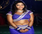 bhojpuri actress navel.jpg from shubi sharma deep clevage