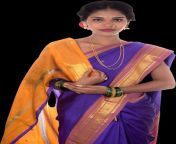 south indian woman in saree transparent image.png from white transperent saree photoshoot